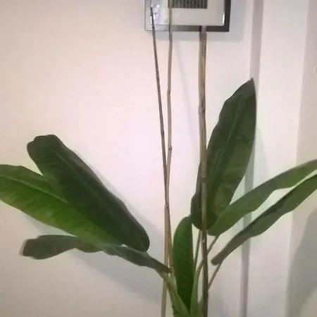 Apartamento Salino *