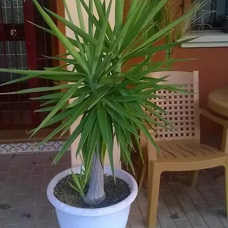 Apartamento Salino